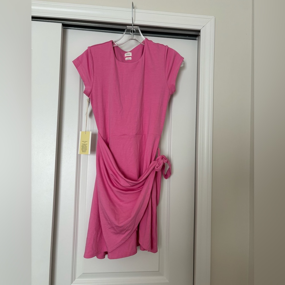 Aritzia Wilfred tie dress
